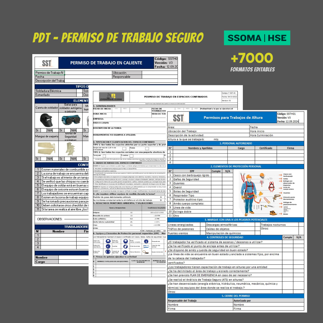 Formatos SSOMA editables
