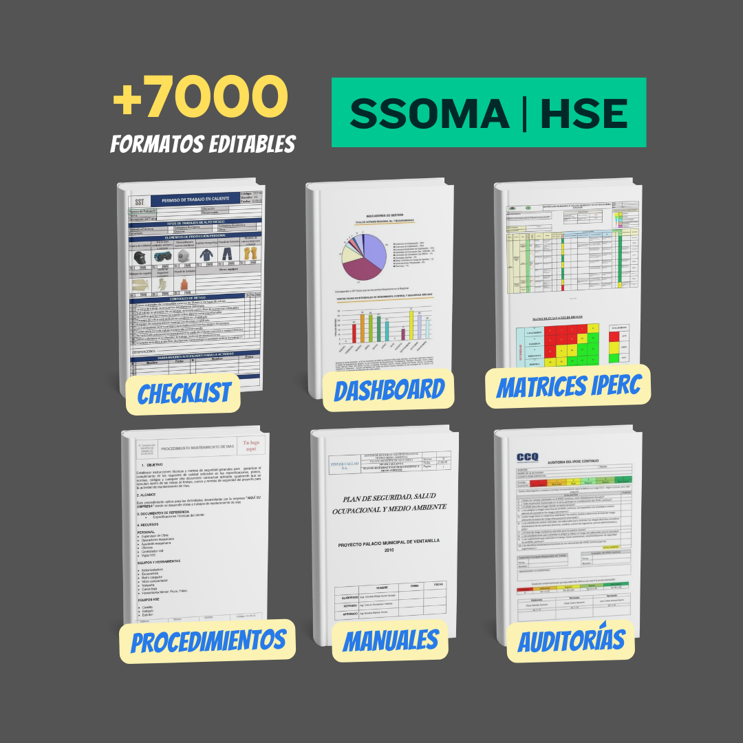 Formatos SSOMA editables